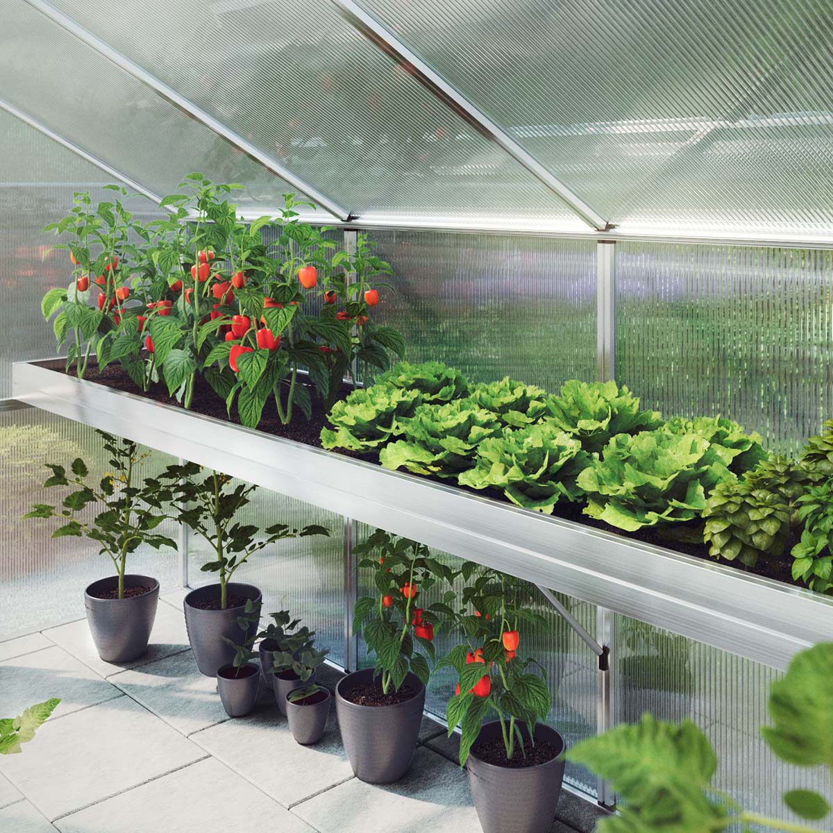 Produktbillede af Plantebakke Rose III på tilbud i høj kvalitet