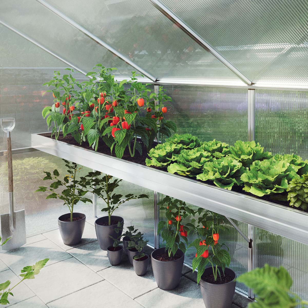 Produktbillede af Plantebakke Lilie IV på tilbud i høj kvalitet