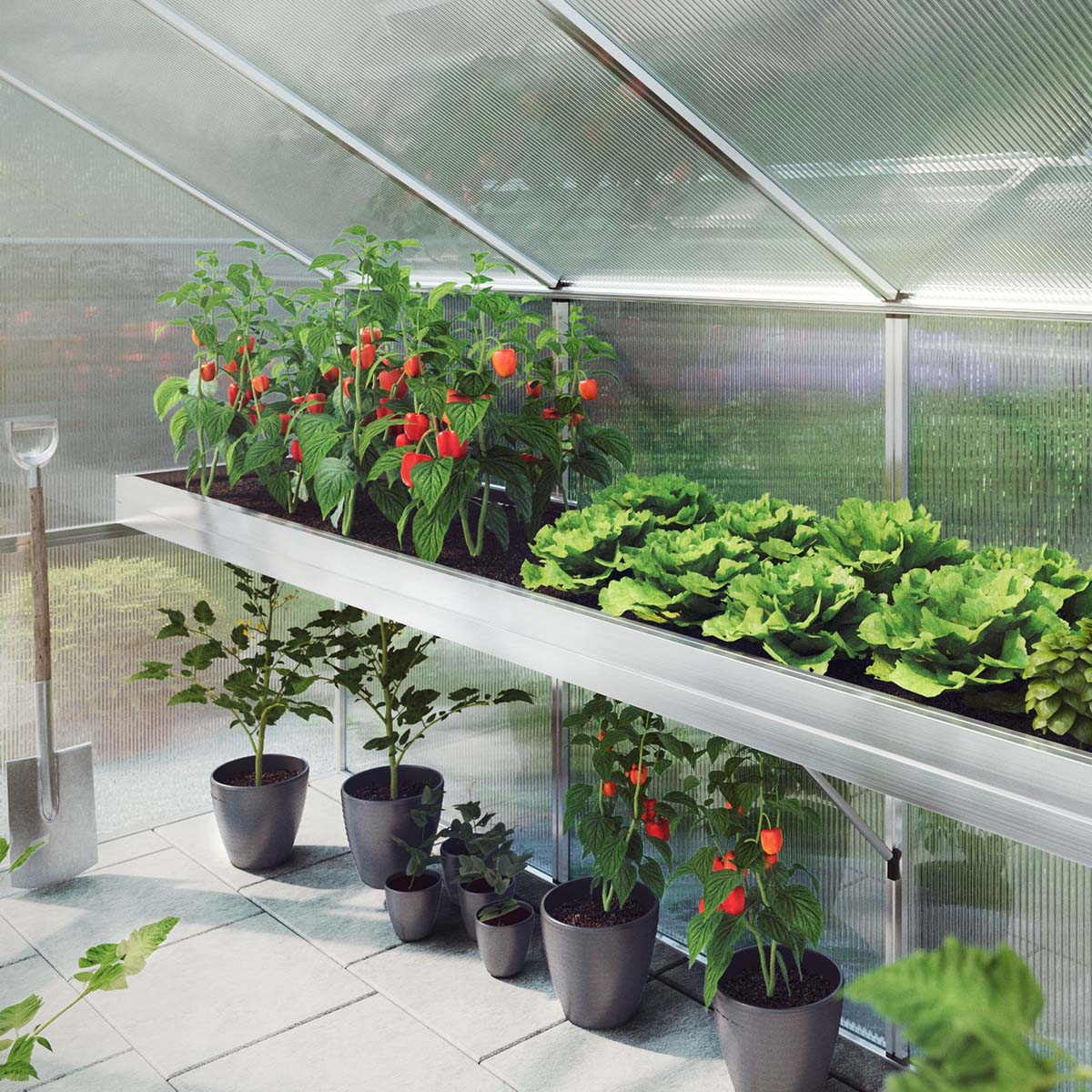 Produktbillede af Plantebakke Callas III på tilbud i høj kvalitet