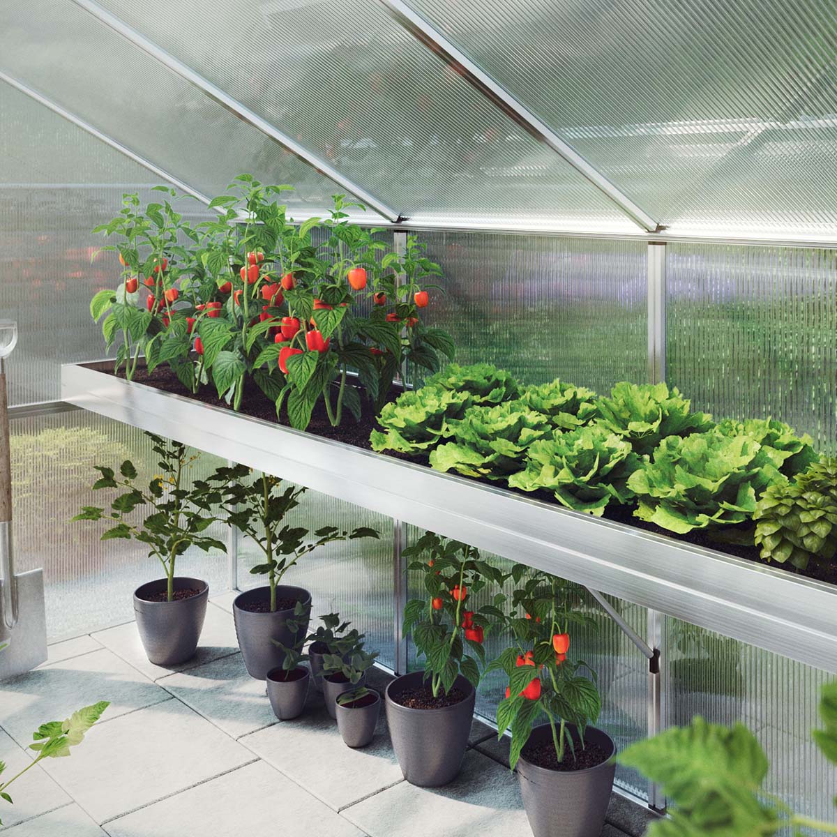 Produktbillede af Plantebakke Novum II på tilbud i høj kvalitet