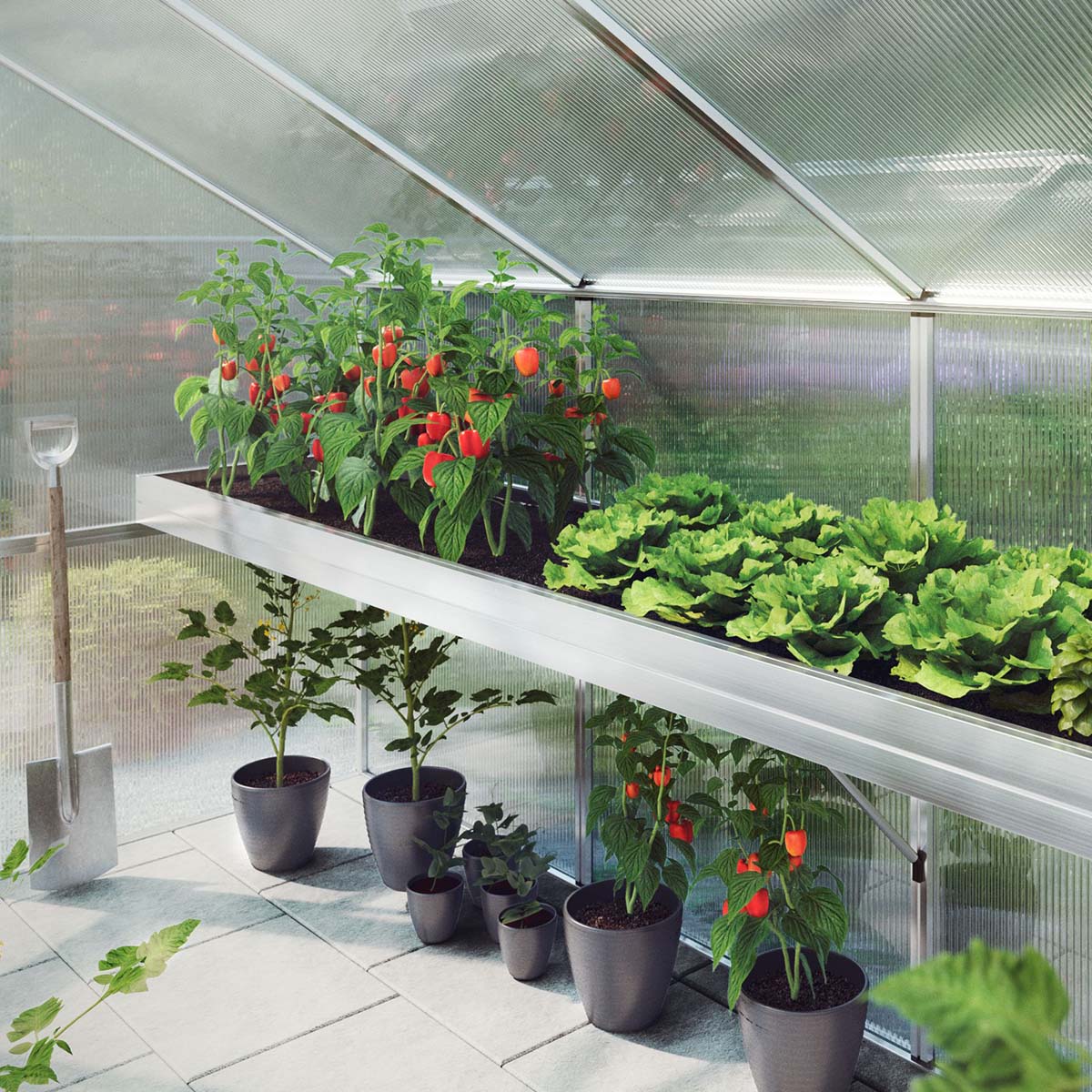 Produktbillede af Plantebakke Novum IV på tilbud i høj kvalitet