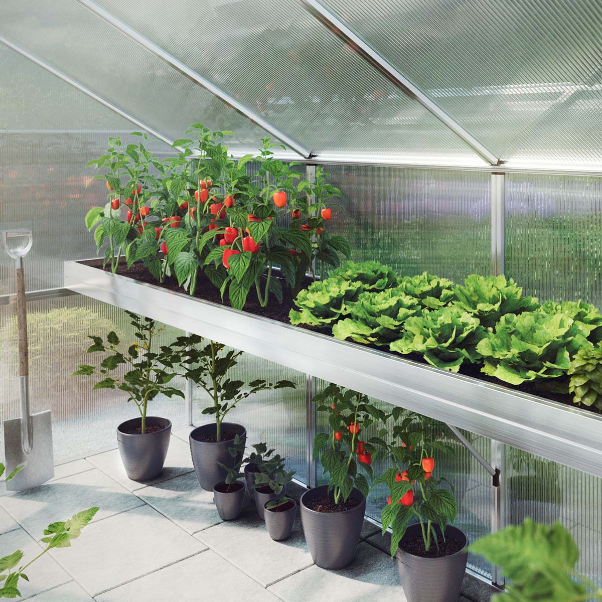 Produktbillede af Plantebakke Iris IV på tilbud i høj kvalitet