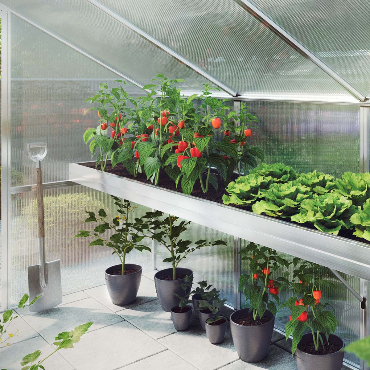 Produktbillede af Plantebakke Nelke III på tilbud i høj kvalitet