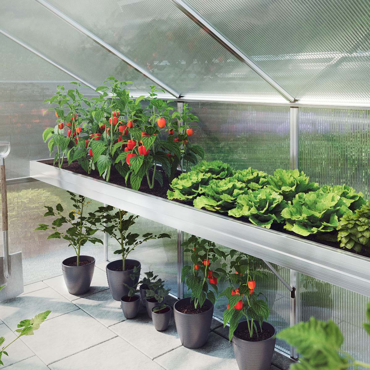 Produktbillede af Plantebakke Nelke IV på tilbud i høj kvalitet