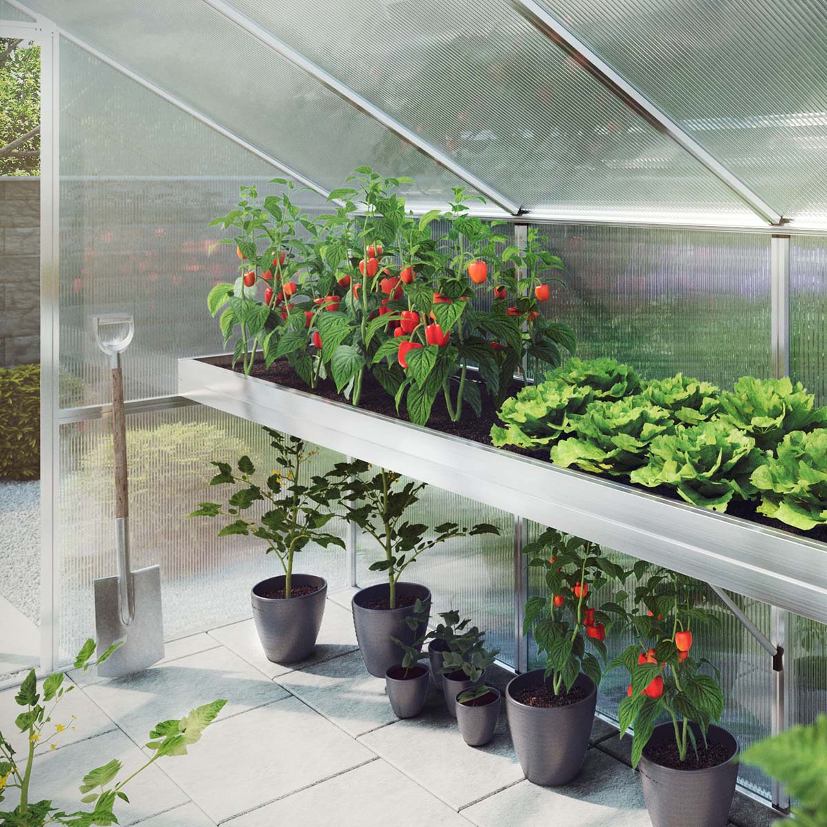 Produktbillede af Plantebakke Dahlie IV på tilbud i høj kvalitet