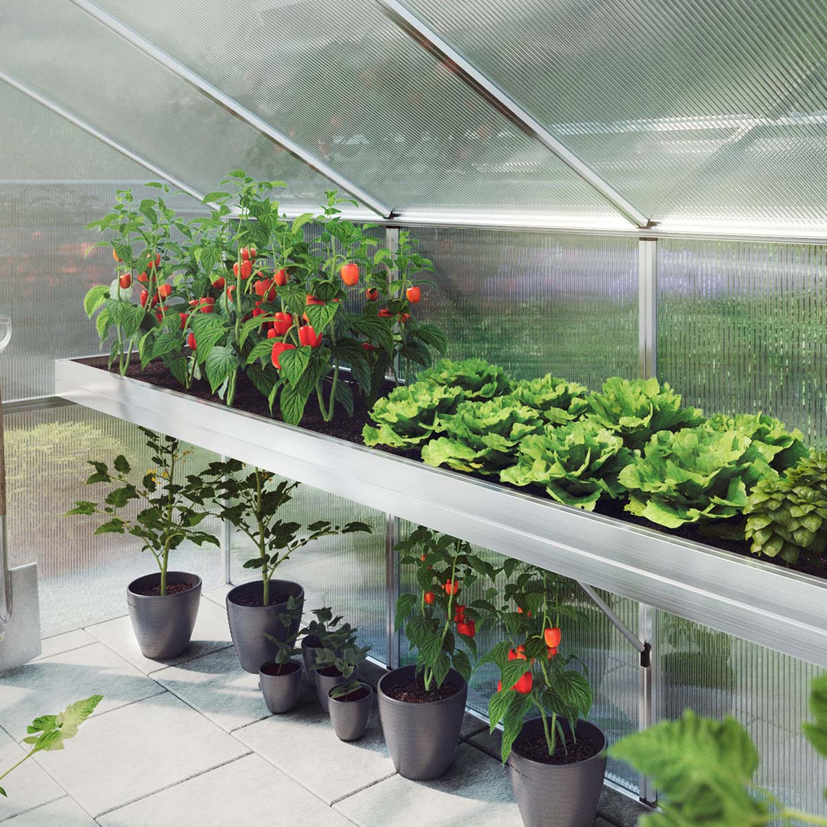 Produktbillede af Plantebakke Aptasia III-s på tilbud i høj kvalitet