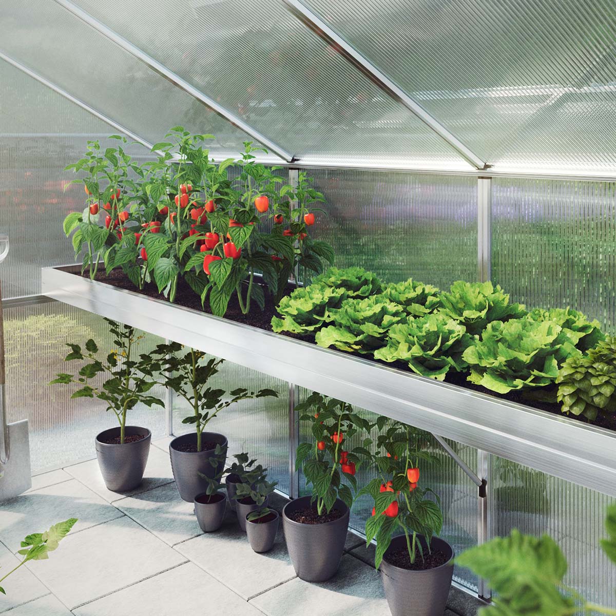 Produktbillede af Plantebakke Aptasia III på tilbud i høj kvalitet