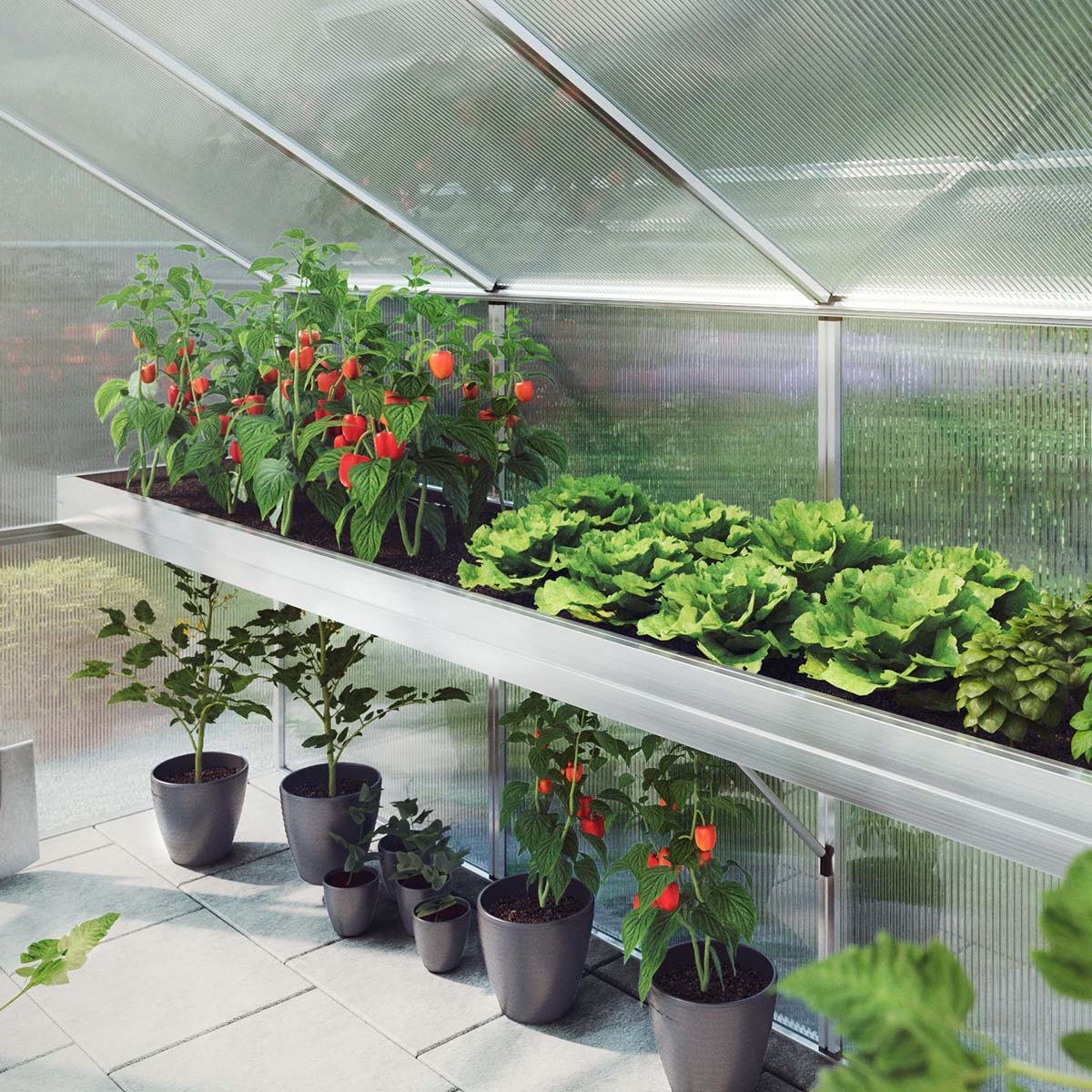 Produktbillede af Plantebakke Aptasia IV på tilbud i høj kvalitet