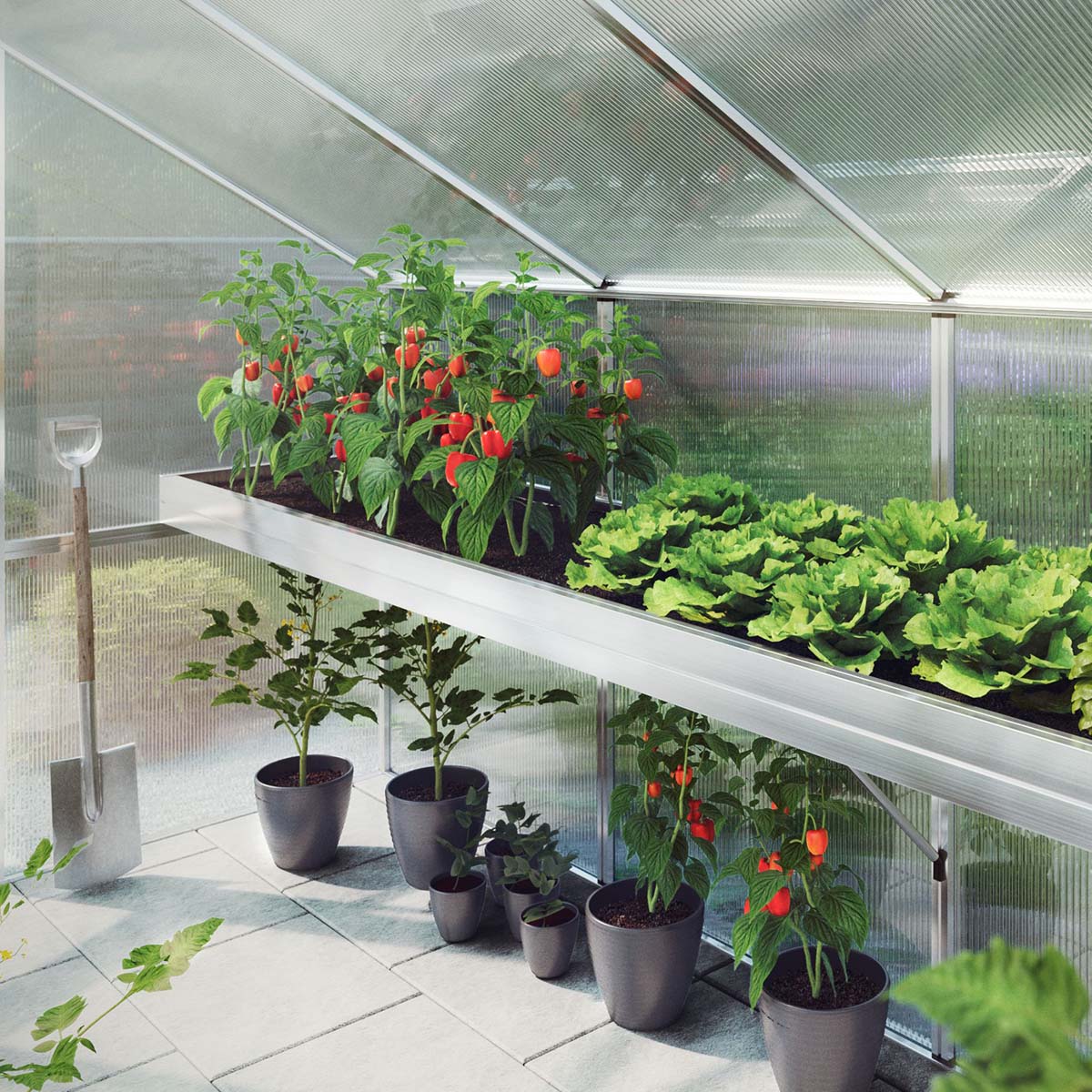 Produktbillede af Plantebakke Ortasia III på tilbud i høj kvalitet