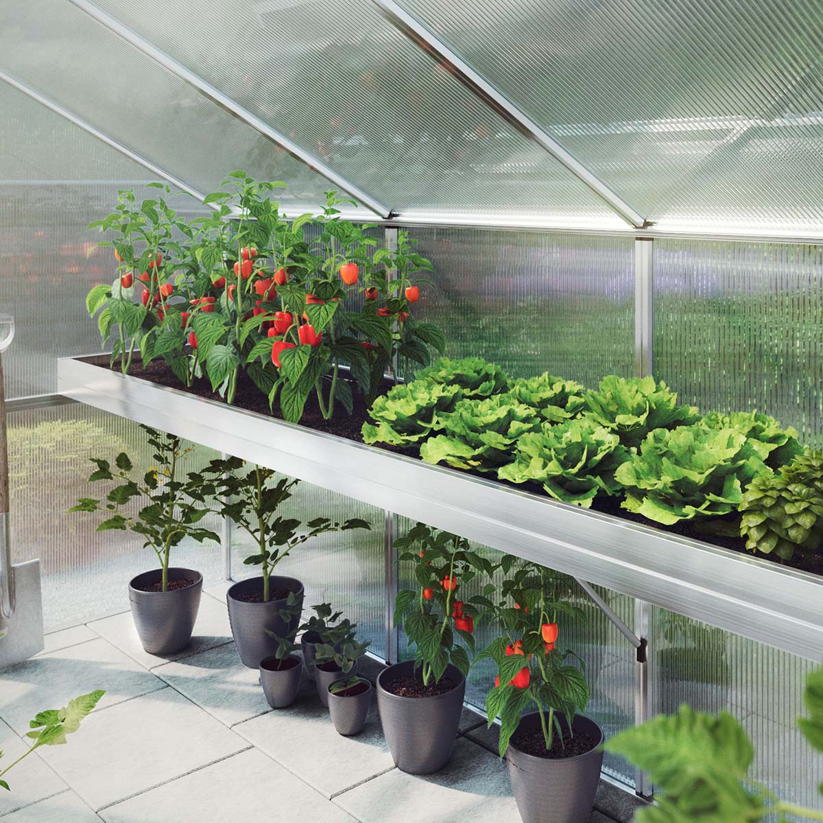 Produktbillede af Plantebakke Ortasia IV på tilbud i høj kvalitet