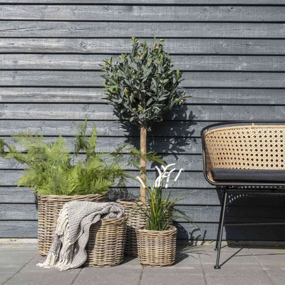 billigt tilbud på Bromo kurvesæt med 4 kurve i natur rattan! Udsalg på 3-nordic. Hurtig levering, billig fragt. Varenummer: 3NDC-4741. Spar op til 51%.
