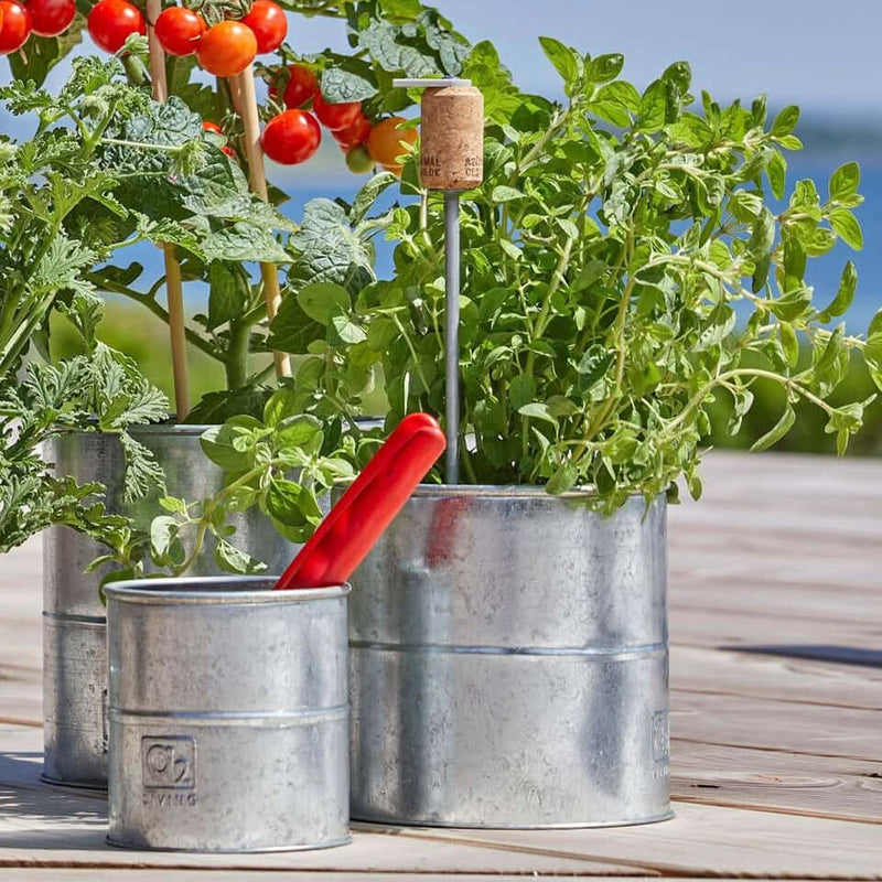 billigt tilbud på Maceta urtepotte i galvaniseret metal, 3 potter. Stort udvalg online. Hurtig levering, 1-2 hverdage. Spar op til 59%.
