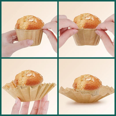 V3H633871607407C2FCD5B4F08A18558033R5666971P6