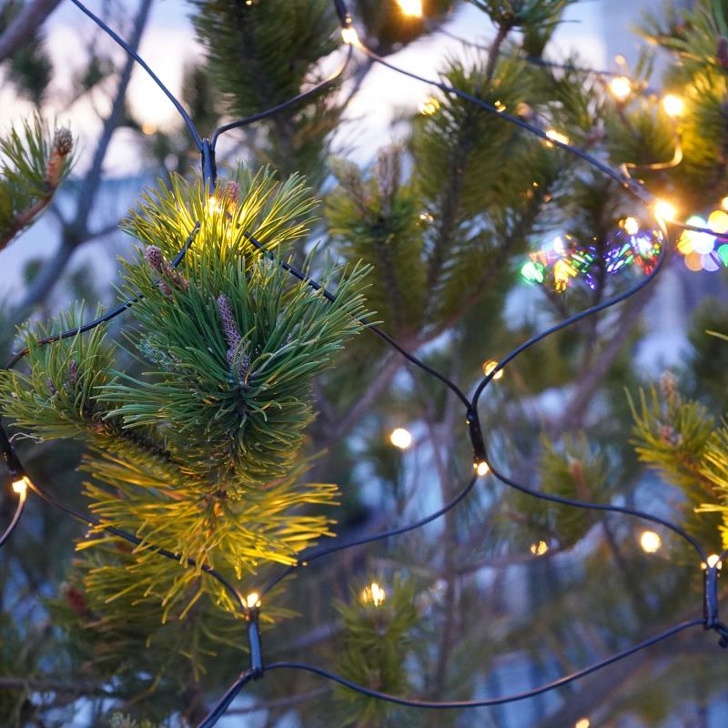 Produktbillede af Sirius Top-Line Energy Net Supplementsæt 100L i premium kvalitet