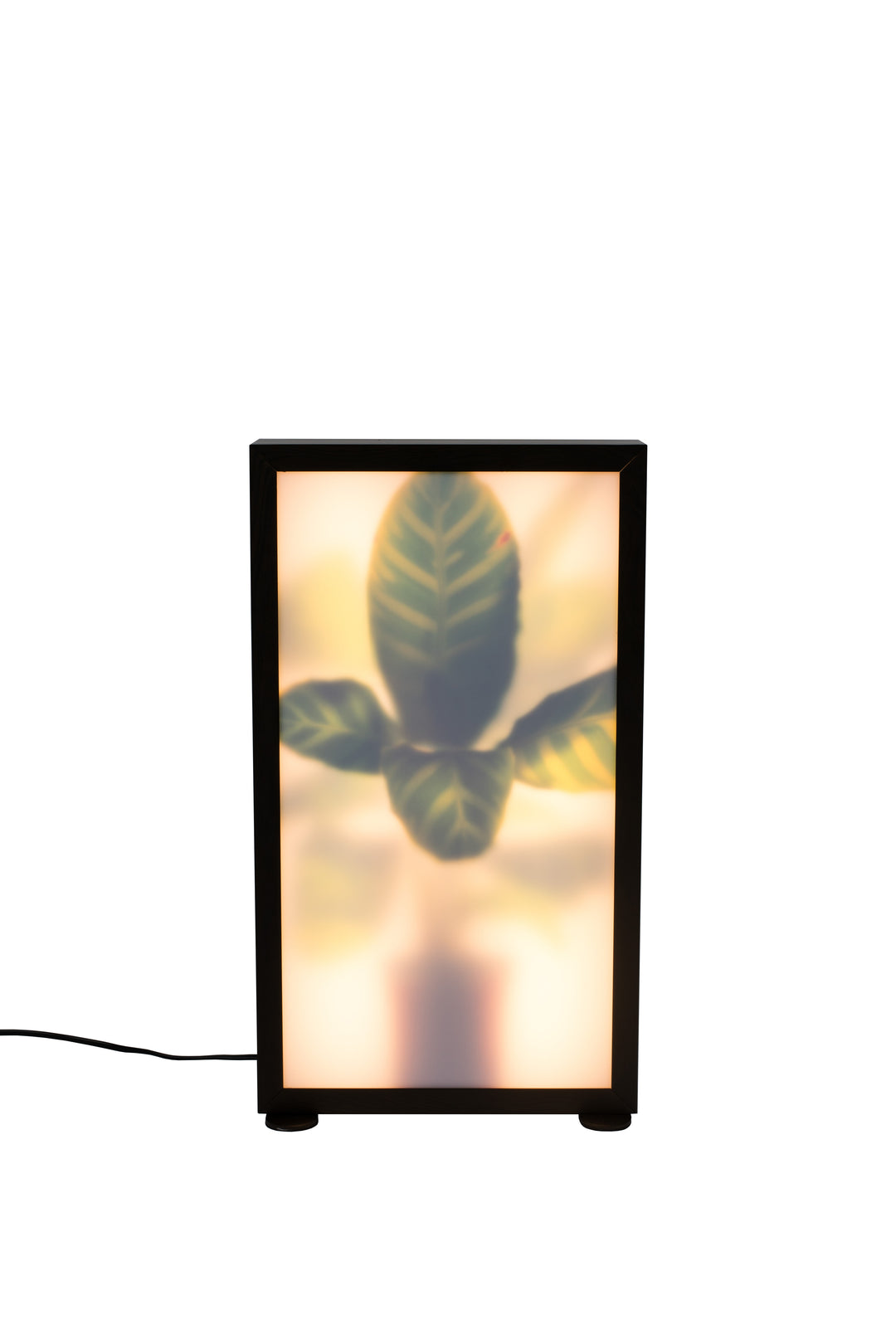 ZUIVER Grow M gulvlampe glas og sort træ