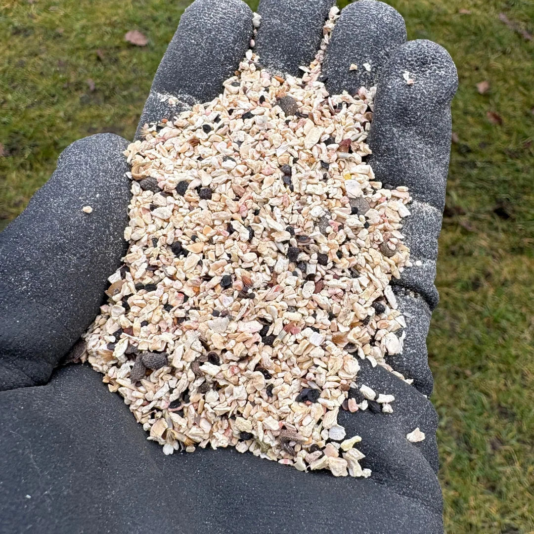 Blomsterblanding Bi- og insekt blanding 60m2