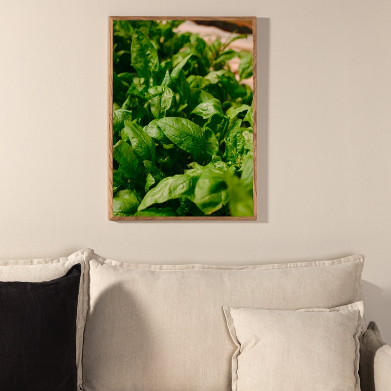 Produktbillede af Green Leaf Vælg mellem fire plakat størrelser 50 x 70 cm. på tilbud i høj kvalitet