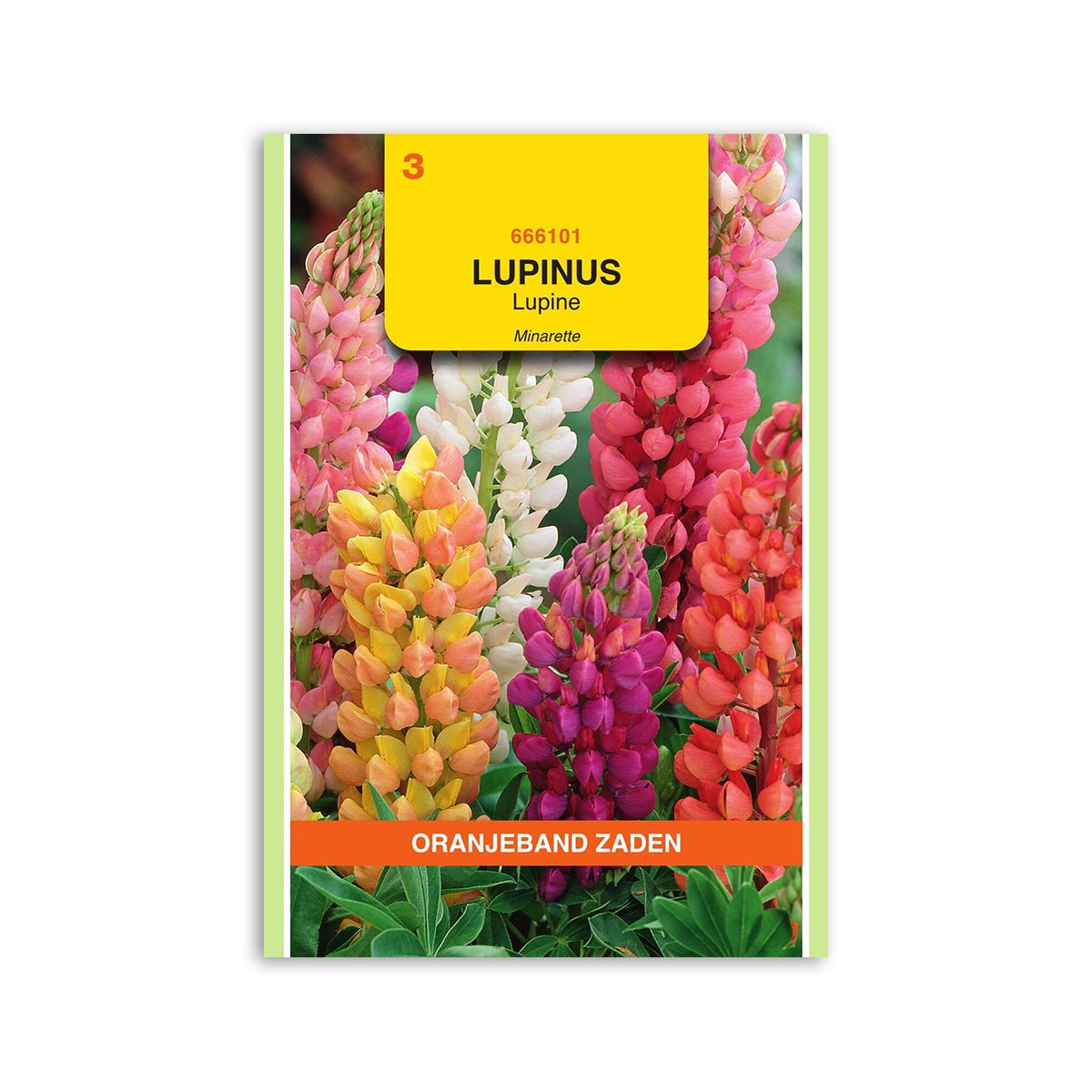 Produktbillede af Lupin frø Minarette mix Oranjeband på tilbud i høj kvalitet