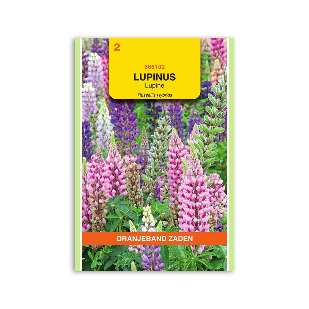 Produktbillede af Lupin frø Russell's hybrids mix Oranjeband på tilbud i høj kvalitet
