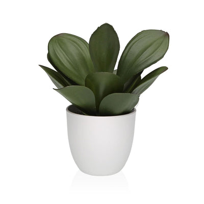 Se Dekorativ plante Versa Jern Tekstil 25 x 23 cm  Stort online udvalg i Versa - Køb online på udsalg og tilbud lige nu  Meget billig fragt og hurtig levering: 1 - 2 hverdage - Varenummer: S3419126 og barcode / Ean: '8420327557926 på lager - Udsalg på Hjem og madlavning, Boligindretning Spar op til 67% - Over  857 kendte brands på udsalg