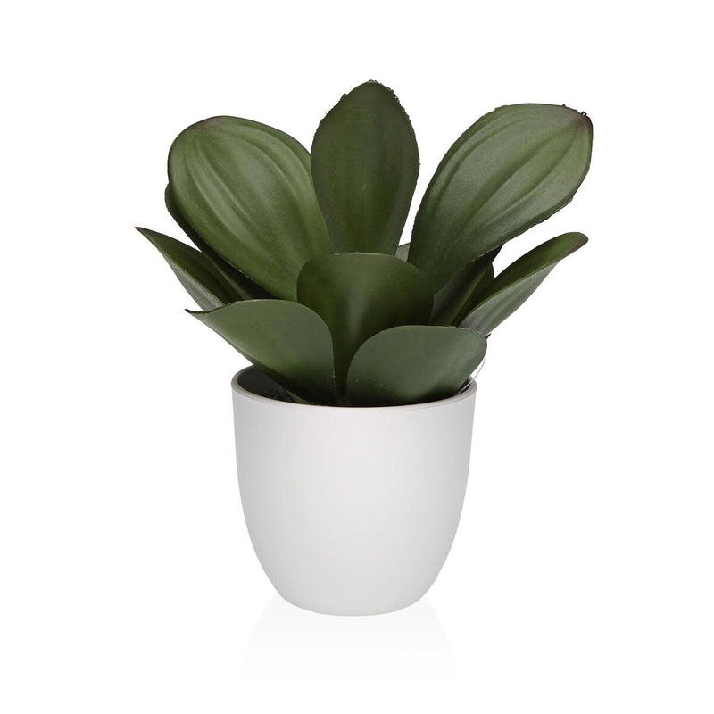 Se Dekorativ plante Versa Jern Tekstil 25 x 23 cm  Stort online udvalg i Versa - Køb online på udsalg og tilbud lige nu  Meget billig fragt og hurtig levering: 1 - 2 hverdage - Varenummer: S3419126 og barcode / Ean: &