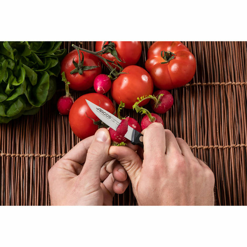 V3H12DBE434B55288953961553F8AF88050R6256498P6