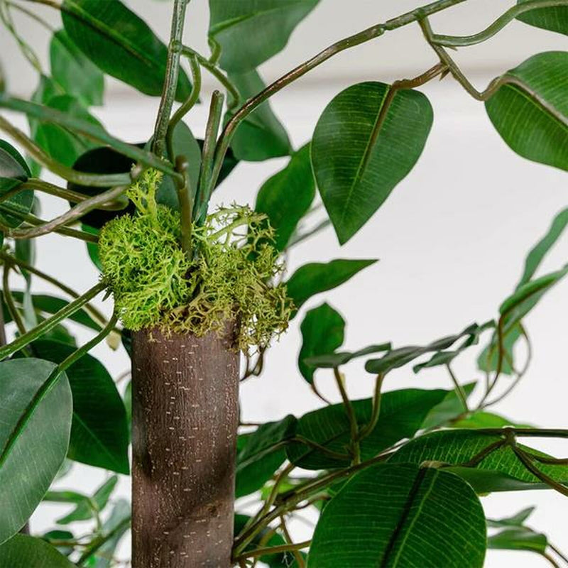 V8H53CCD2E7F22401DA024E2E300C79E183R6382228P2