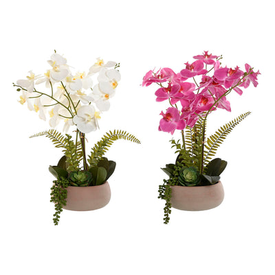 Se Dekorativ plante Home ESPRIT Polyetylen Papmaché 40 X 35 X 52 cm (2 stk)  Stort online udvalg i Home ESPRIT - Køb online på udsalg og tilbud lige nu  Meget billig fragt og hurtig levering: 1 - 2 hverdage - Varenummer: S3059327 og barcode / Ean: '8424002170110 på lager - Udsalg på Hjem og madlavning, Boligindretning Spar op til 55% - Over 1112 kendte brands på udsalg