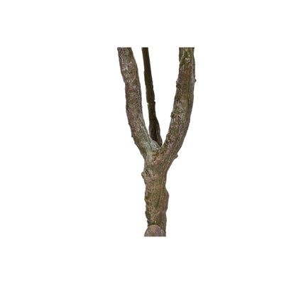 V3H41ABFAE52A3AE3DF66EA4A192D86EAE5R5676126P3