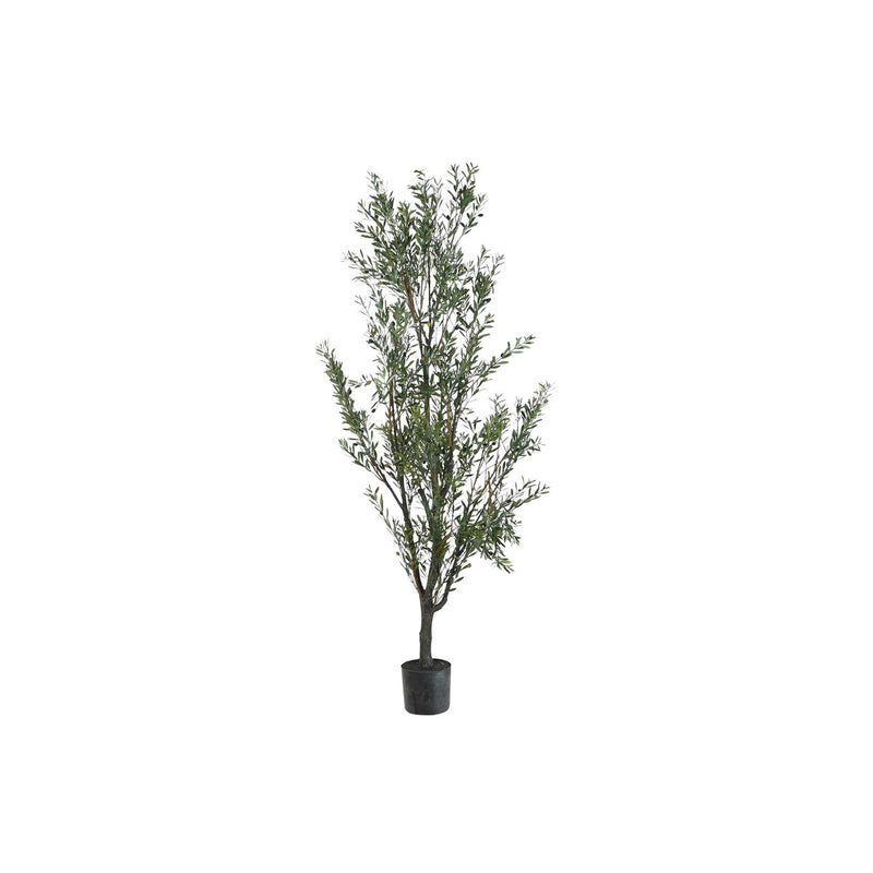 Se Træ Home ESPRIT Polyetylen Oliven  Stort online udvalg i Home ESPRIT - Køb online på udsalg og tilbud lige nu  Meget billig fragt og hurtig levering: 1 - 2 hverdage - Varenummer: S3061542 og barcode / Ean: &