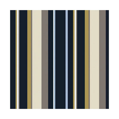 V10H7EF06312D076DDC7B4FB10CB7D6A57A3R3449264P1