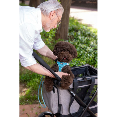 V2H0E8C6F833C0CD12495DE0BBCEBC111CDR6716257P4