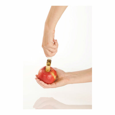 V4H0331D92E4DD96478BB7D96783AE87E6AR4924247P2