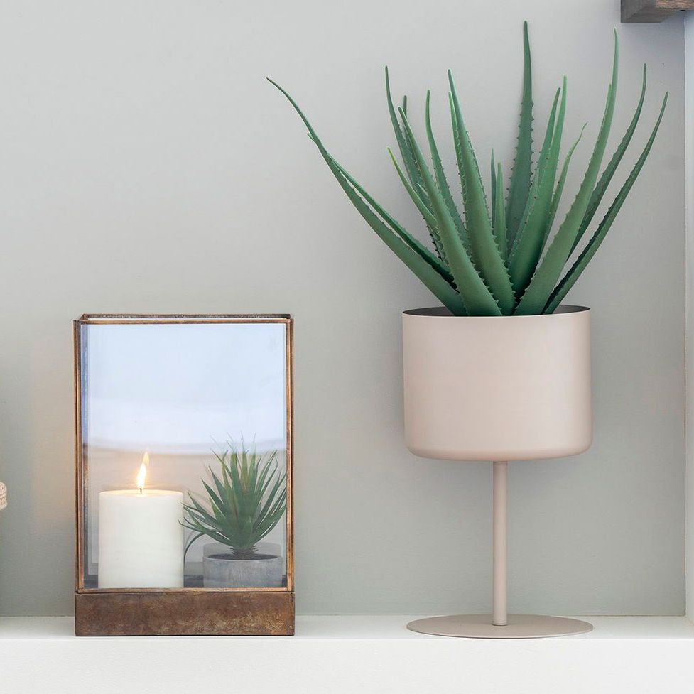 Produktbillede af Aloe Vera kunstig grøn plante højde 51 cm. på tilbud i høj kvalitet