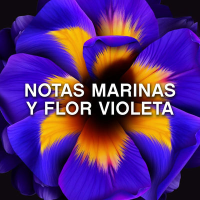 V2H4A75672F1C6A14738516DA0C910C776BR6986296P3