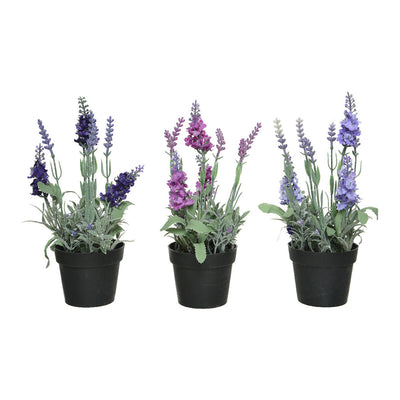 Se Dekorativ plante 25 cm PVC Lavendel  Stort online udvalg i BigBuy Garden - Køb online på udsalg og tilbud lige nu  Meget billig fragt og hurtig levering: 1 - 2 hverdage - Varenummer: S7904402 og barcode / Ean: '8720093957556 på lager - Udsalg på Hjem og madlavning, Boligindretning Spar op til 58% - Over 1112 kendte brands på udsalg