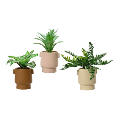 Se Dekorativ plante EDM 808559 25 cm Urtepotte  Stort online udvalg i EDM Product - Køb online på udsalg og tilbud lige nu  Meget billig fragt og hurtig levering: 1 - 2 hverdage - Varenummer: S7922409 og barcode / Ean: '8720725800939 på lager - Udsalg på Hjem og madlavning, Boligindretning Spar op til 56% - Over 1112 kendte brands på udsalg