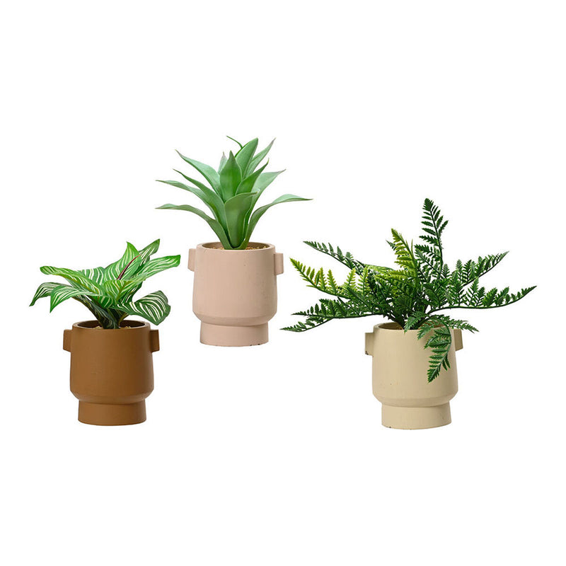 Se Dekorativ plante EDM 808559 25 cm Urtepotte  Stort online udvalg i EDM Product - Køb online på udsalg og tilbud lige nu  Meget billig fragt og hurtig levering: 1 - 2 hverdage - Varenummer: S7922409 og barcode / Ean: &