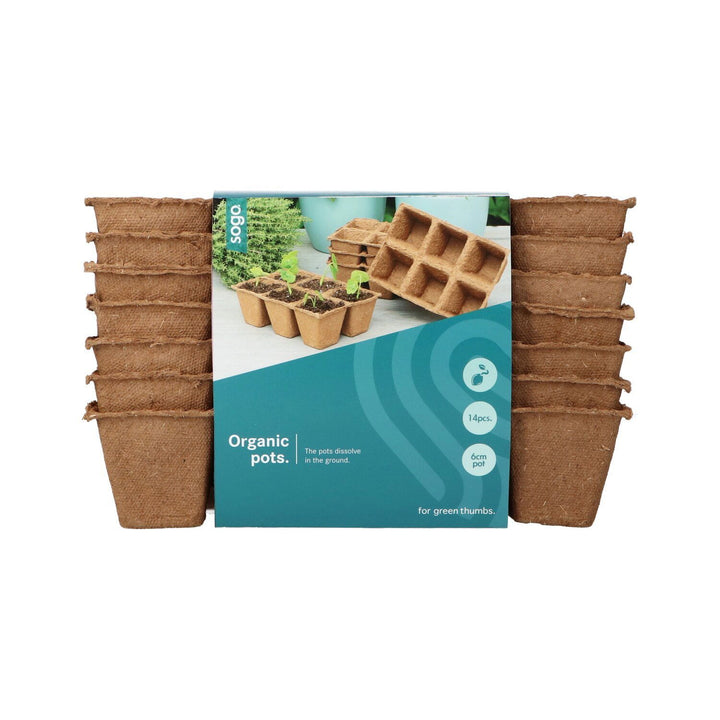 Produktbillede af Fiberbakke til forspiring med 6 rum 6 x 6 cm 14 stk på tilbud i høj kvalitet