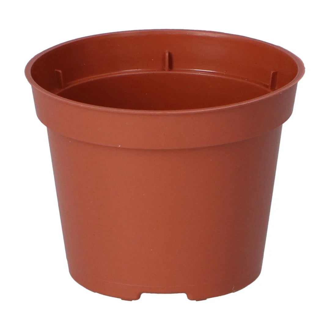Plantepotte i plast Ø6 cm 30 stk.