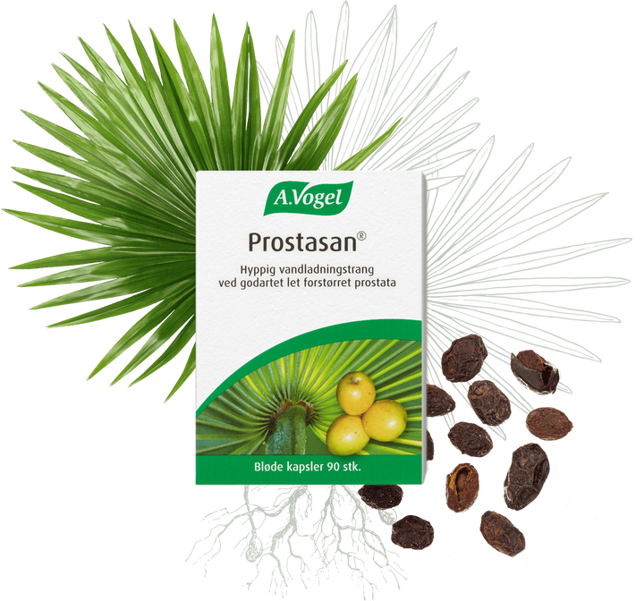 A. Vogel Prostasan 90 kaps.
