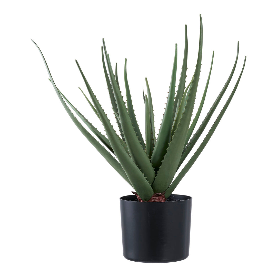 HOUSE NORDIC Aloe Vera kunstig plante grøn PE plastik H:51cm