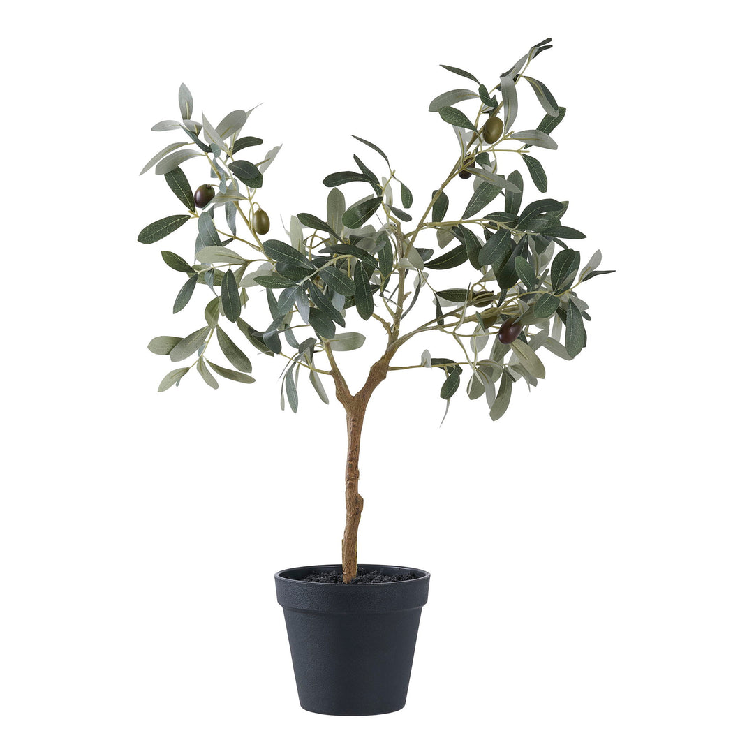 HOUSE NORDIC Oliventræ kunstig plante grøn PE plastik H:61cm