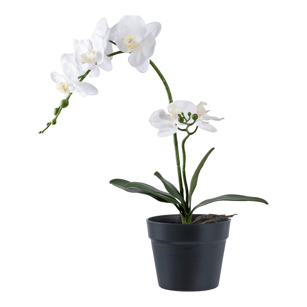 HOUSE NORDIC Orkidé kunstig plante hvid og grøn PE plastik H:49cm