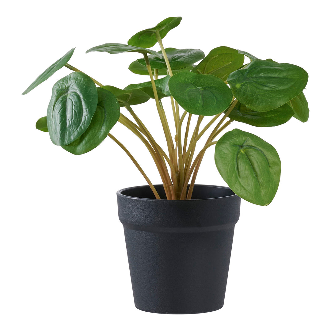 HOUSE NORDIC Pelia kunstig plante grøn PE plastik H:28cm