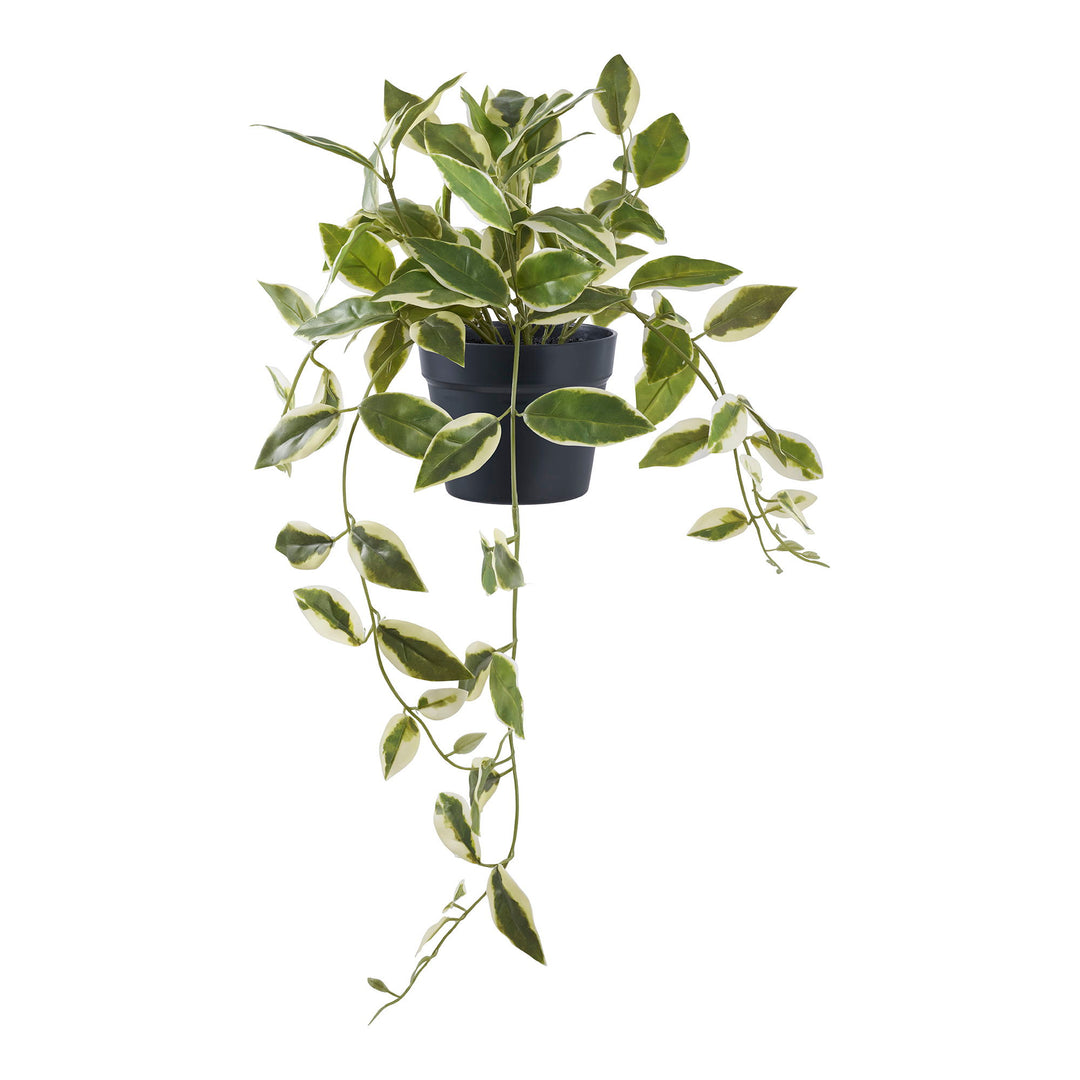 HOUSE NORDIC Voksblomst kunstig plante grøn PE plastik H:33cm