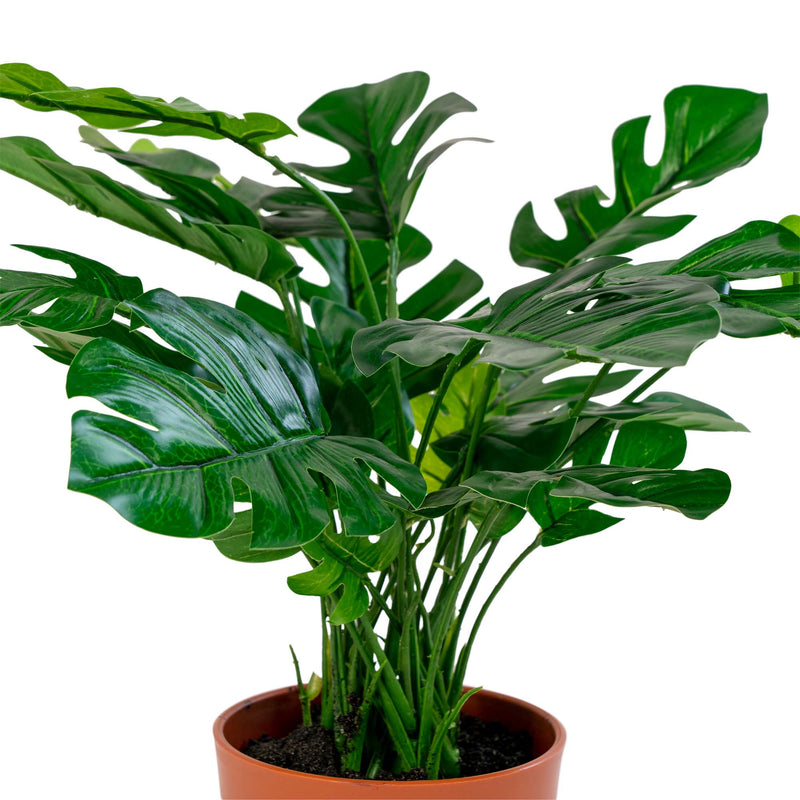 Monstera - Kunstig plante 45 cm ❤ Stort online udvalg i HouNordic ❤ Billig fragt og hurtig levering 2 - 5 hverdage ❤ Varenummer: BGH-42135253549308 / Ean: &