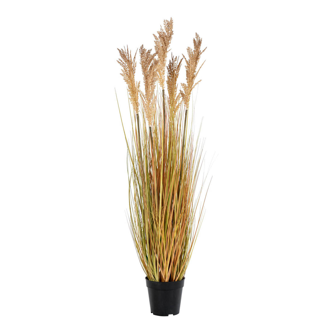 HOUSE NORDIC Sorghum Grass kunstig plante natur PE plastik H:110