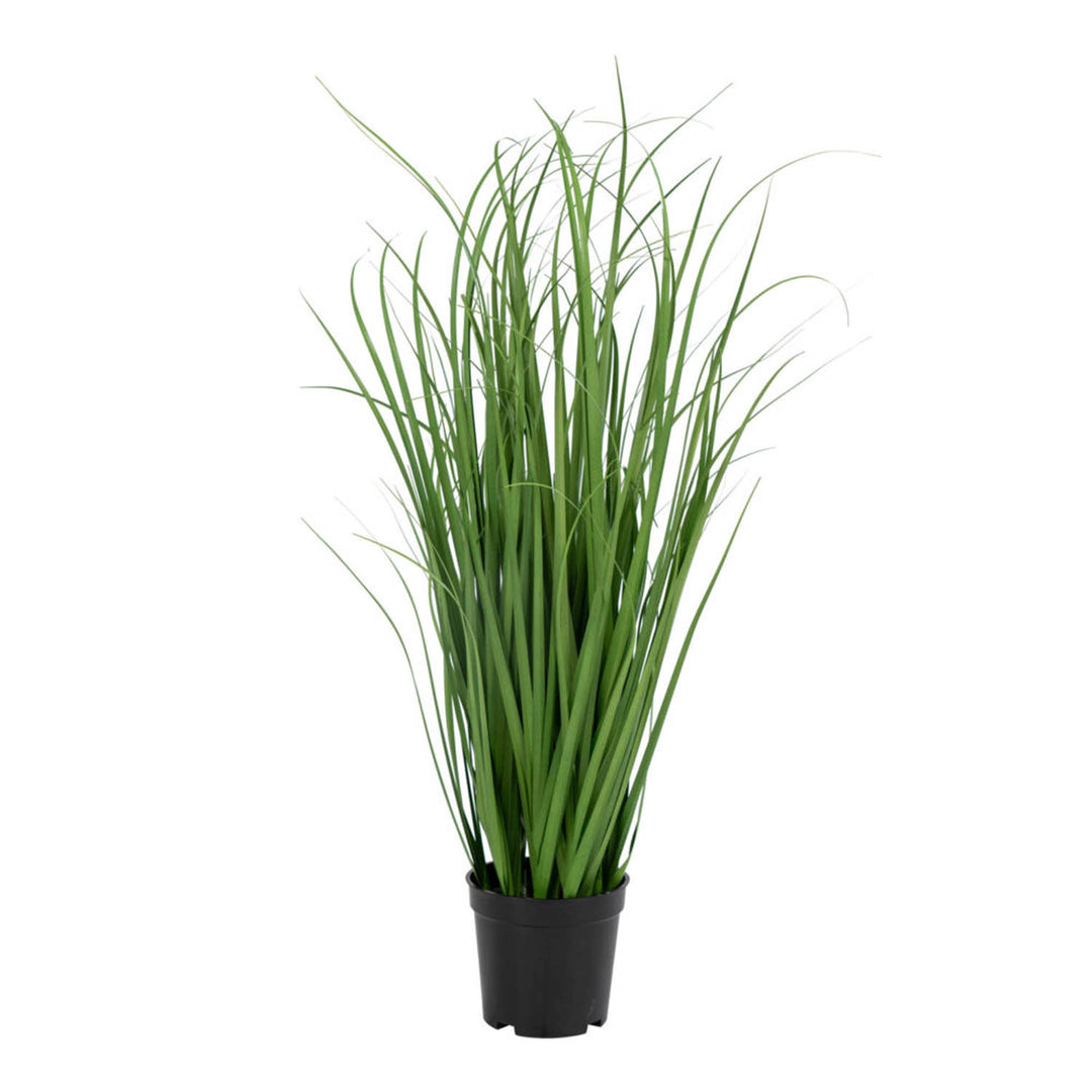 HOUSE NORDIC Poa Grass kunstig plante grøn PE plastik H:68