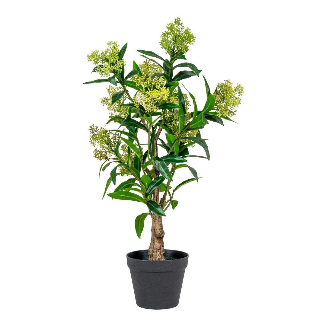 HOUSE NORDIC kunstig Skimmia Træ plante grøn plastik H:75